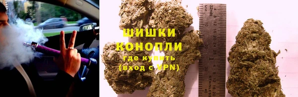 твердый Осташков